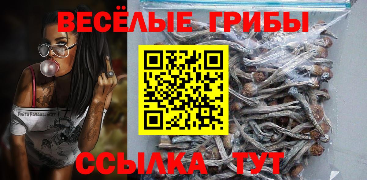 Галлюциногенные грибы прущие грибы  Вход с VPN  Менделеевск 